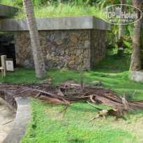 фото из отзыва ID 1677718