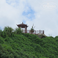 фото из отзыва ID 1677718