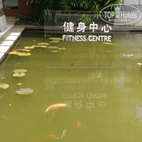 фото из отзыва ID 1677718