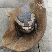 фото из отзыва ID 1677718