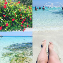 фото из отзыва ID 1677730