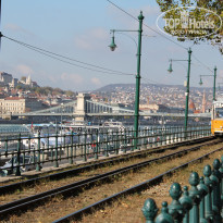 фото из отзыва ID 1677761