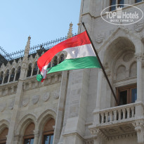 фото из отзыва ID 1677761