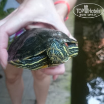 фото из отзыва ID 1677782