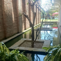 фото из отзыва ID 1677782