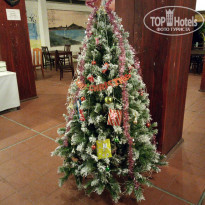 фото из отзыва ID 1677888