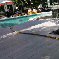 фото из отзыва ID 1677898