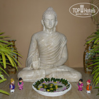 фото из отзыва ID 1677957