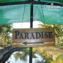 фото из отзыва ID 1677957