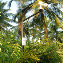 фото из отзыва ID 1677957