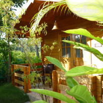 фото из отзыва ID 1677957