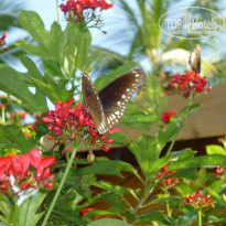 фото из отзыва ID 1677957