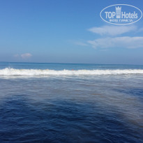 фото из отзыва ID 1677965