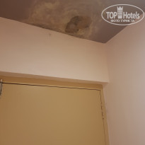 фото из отзыва ID 1677986