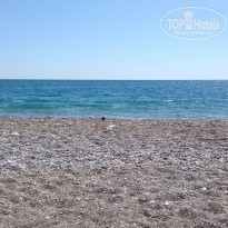 фото из отзыва ID 1678020