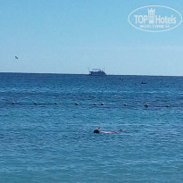 фото из отзыва ID 1678028