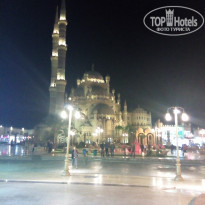 фото из отзыва ID 1678028