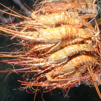 фото из отзыва ID 1678054