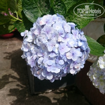 фото из отзыва ID 1678054