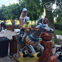 фото из отзыва ID 1678063