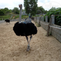 фото из отзыва ID 1678093