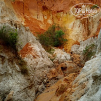 фото из отзыва ID 1678093