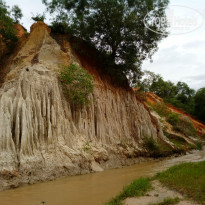 фото из отзыва ID 1678093