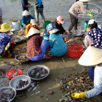 фото из отзыва ID 1678093