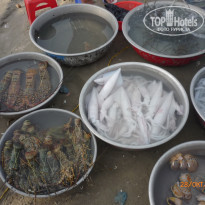 фото из отзыва ID 1678093