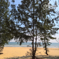 фото из отзыва ID 1678122