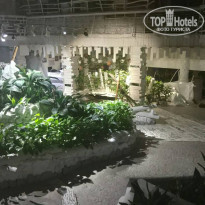 фото из отзыва ID 1678168