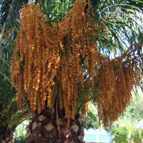 фото из отзыва ID 1678303