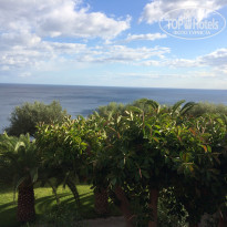 фото из отзыва ID 1678303