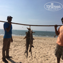 фото из отзыва ID 1678359