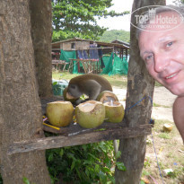 фото из отзыва ID 1678502