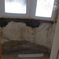 фото из отзыва ID 1678506