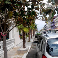 фото из отзыва ID 1678515