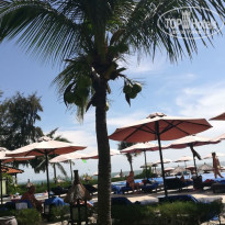 фото из отзыва ID 1678524