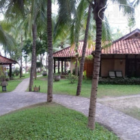 фото из отзыва ID 1678524