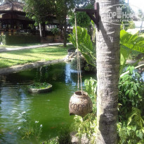 фото из отзыва ID 1678524