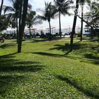 фото из отзыва ID 1678524