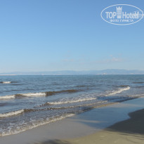 фото из отзыва ID 1678556