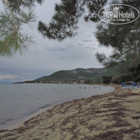 фото из отзыва ID 1678556