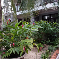 фото из отзыва ID 1678598