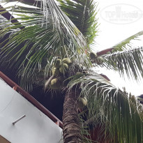 фото из отзыва ID 1678598