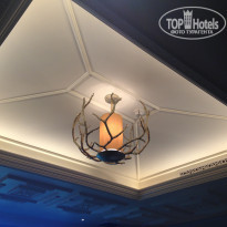 фото из отзыва ID 1678601