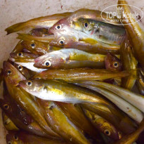 фото из отзыва ID 1678604