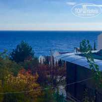 фото из отзыва ID 1678604