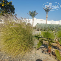 фото из отзыва ID 1678637