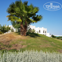 фото из отзыва ID 1678637